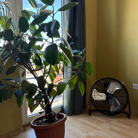 Apartment Near Centre تارتو المظهر الخارجي الصورة