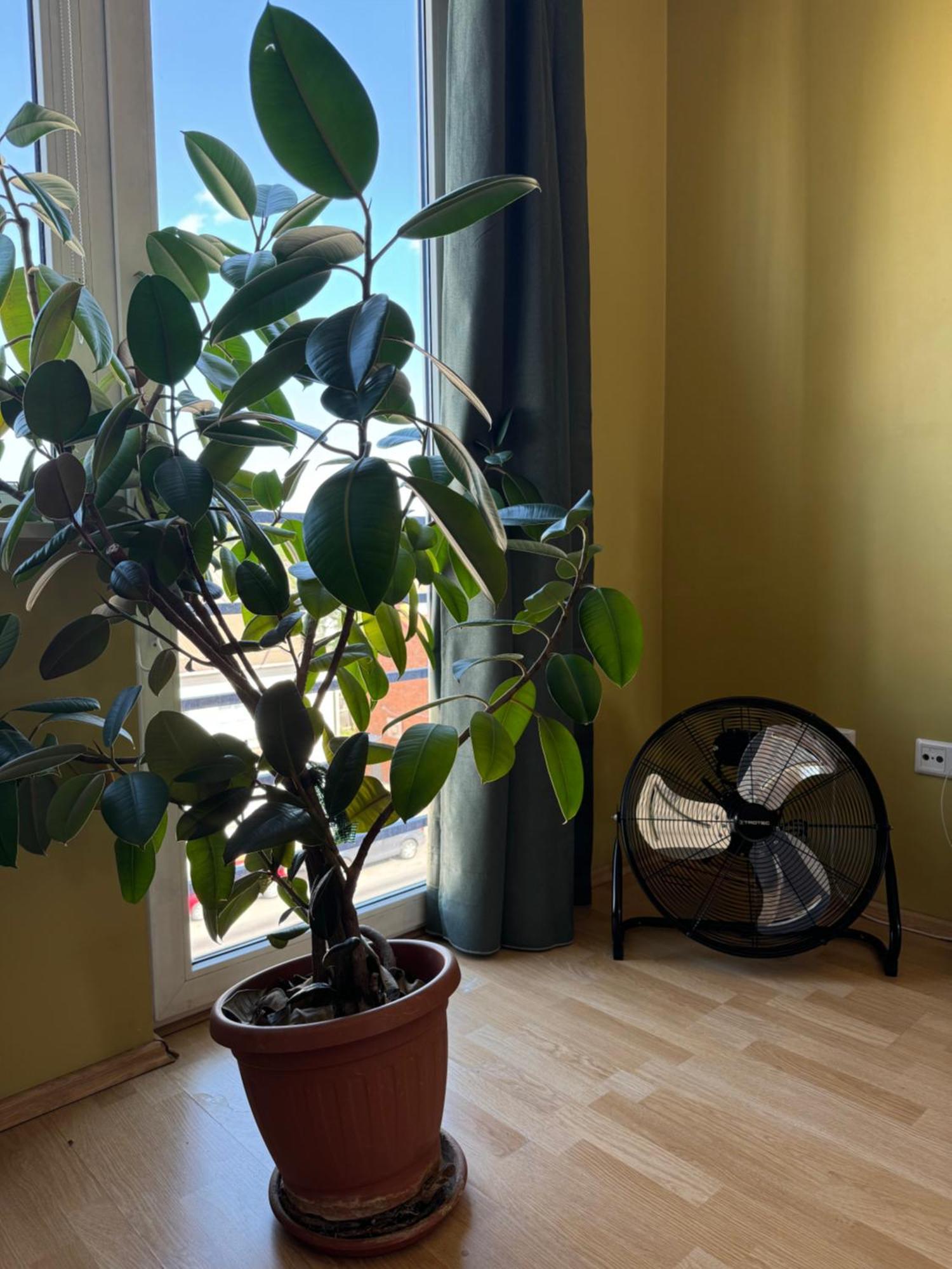 Apartment Near Centre تارتو المظهر الخارجي الصورة